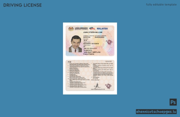 Beispiel für einen malaysischen Führerschein